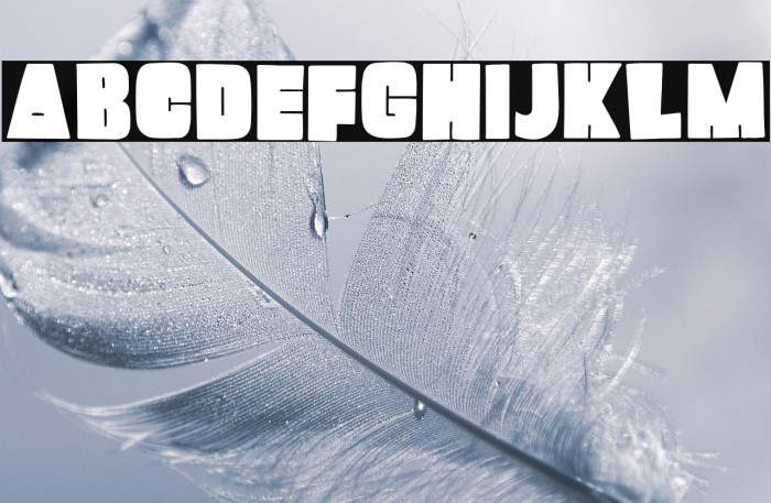 Mango Pudding Example 2