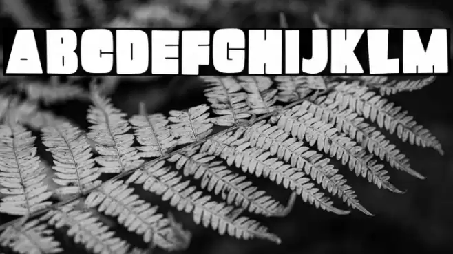 Mango Pudding Font examples