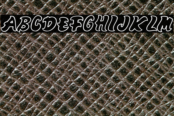 Mango-Regular Example 2