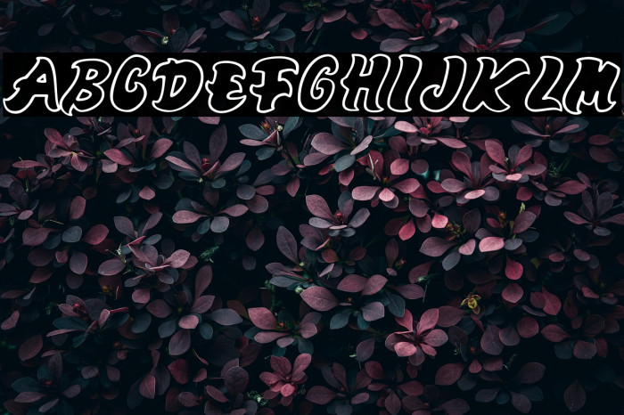 Mango-Regular Example 3