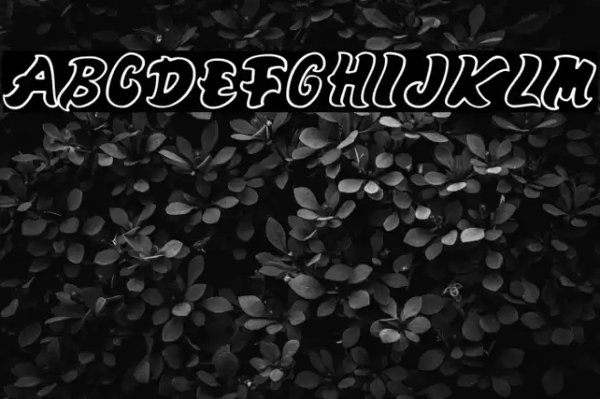 Mango-Regular Font examples