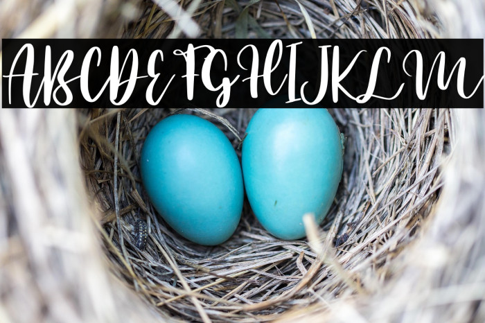 Mango Salsa - Personal Use Example 2