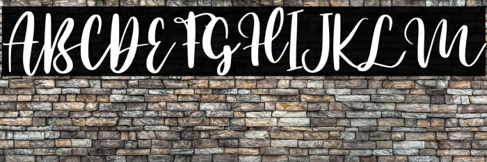 Mango Salsa - Personal Use Example 3