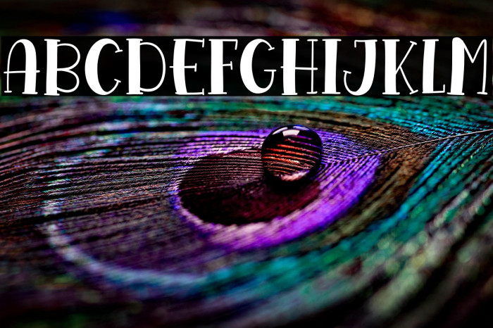 Mango Shake Example 1