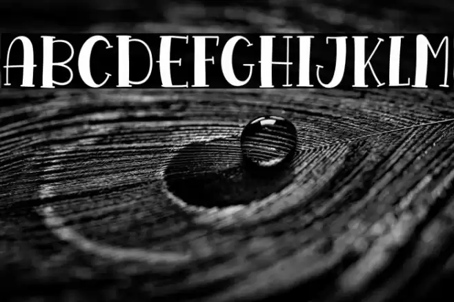 Mango Shake Font examples