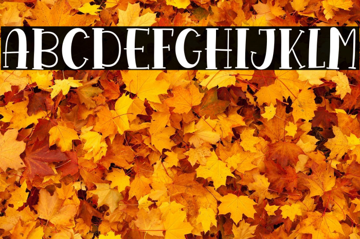 Mango Shake Example 2