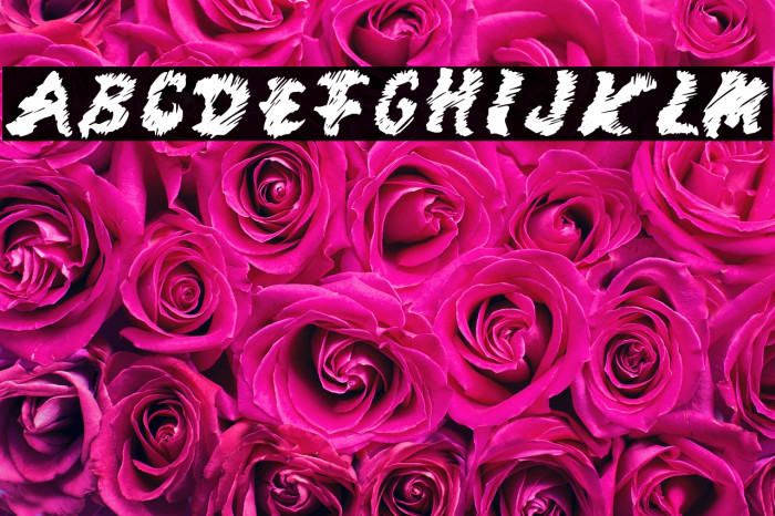 MangoScribble-Regular Example 3