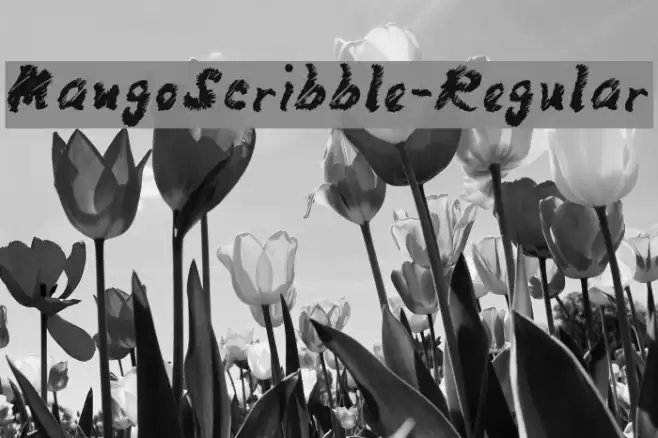 MangoScribble-Regular Font examples