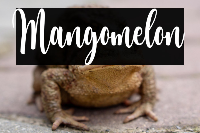 Mangomelon Example 1