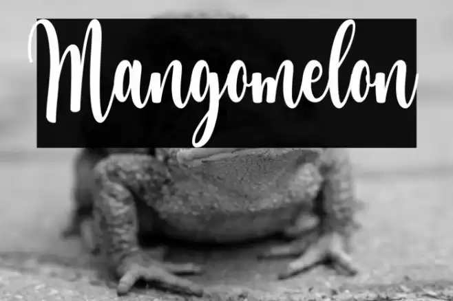 Mangomelon Font examples