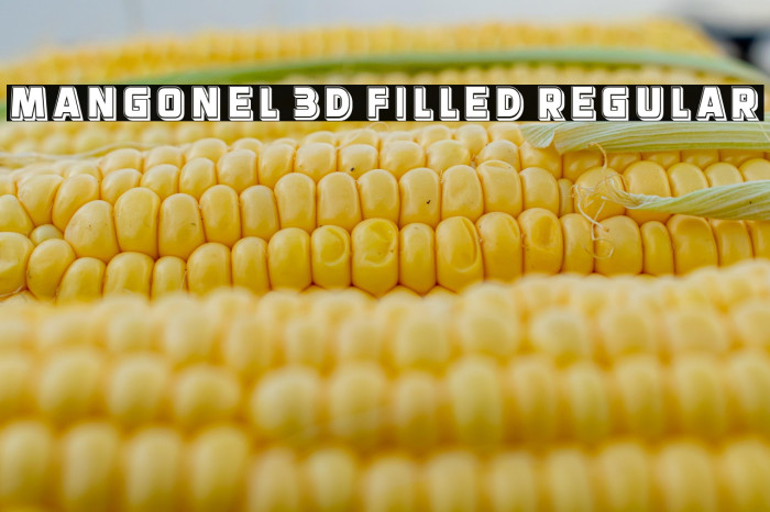 Mangonel 3D Filled Regular Example 1