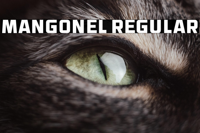 Mangonel Regular Example 2