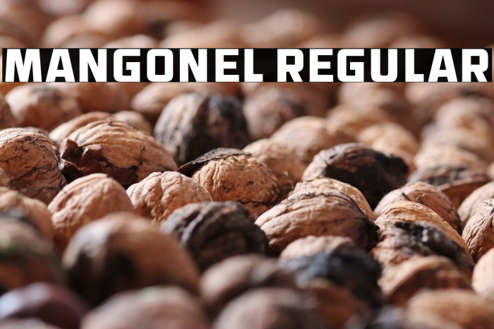 Mangonel Regular Example 3