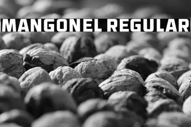 Mangonel Regular Example 3