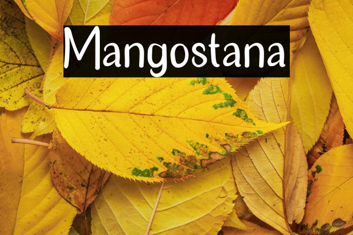 Mangostana Example 1