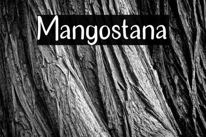 Mangostana Example 2