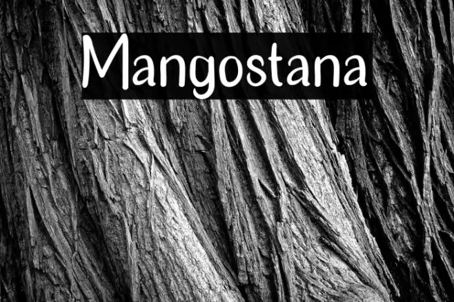 Mangostana Example 2