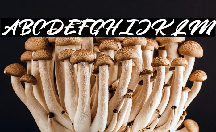 MangoteaFreePersonalUse Example 3