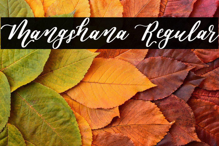 Mangshana Regular Example 2