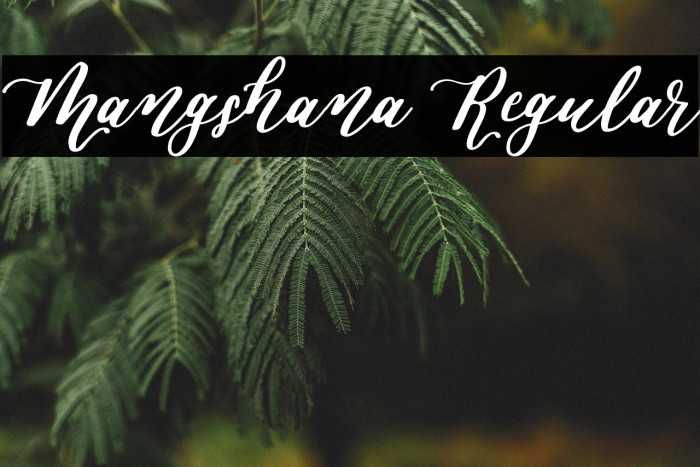 Mangshana Regular Example 3