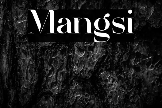 Mangsi Example 1