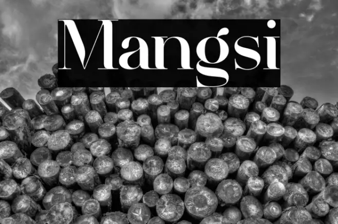 Mangsi Example 2