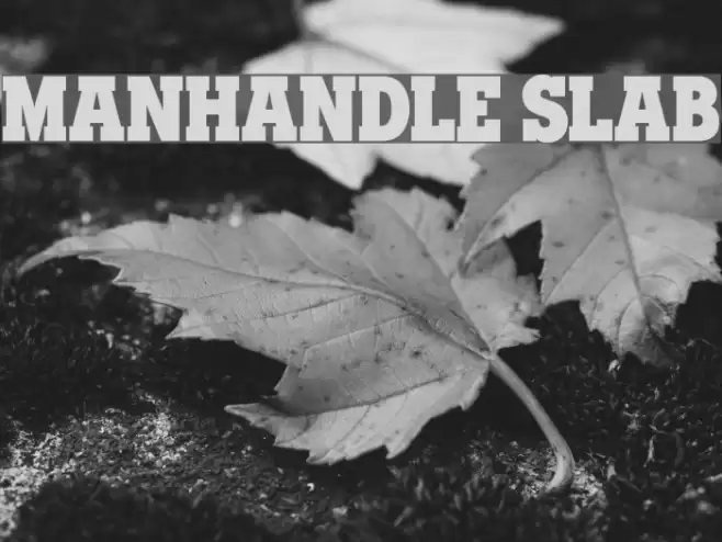Manhandle Slab Font examples