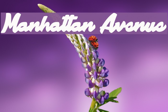 Manhattan Avenue Font examples