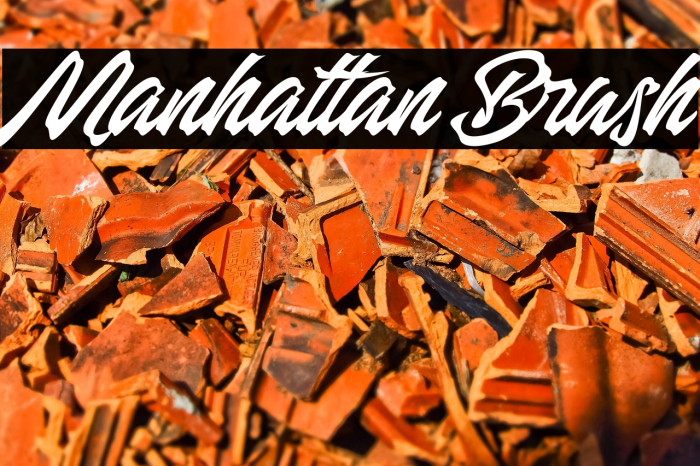 Manhattan Brush Example 1