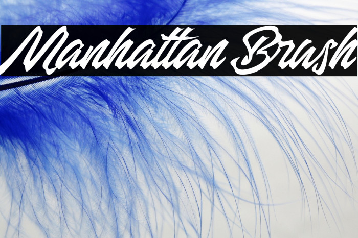 Manhattan Brush Example 2