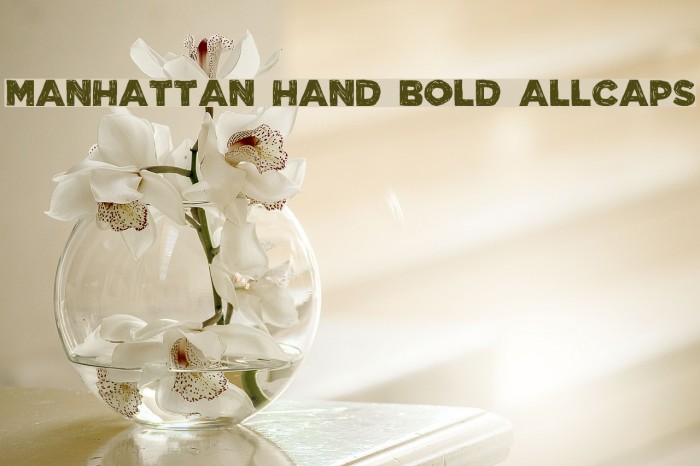 Manhattan Hand Bold All-Caps Font examples
