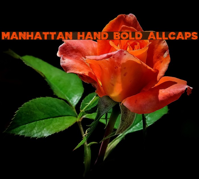 Manhattan Hand Bold All-Caps Font examples