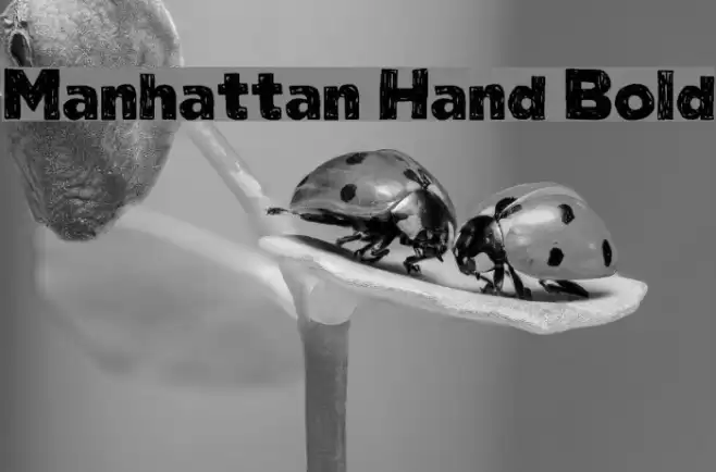Manhattan Hand Bold Font examples