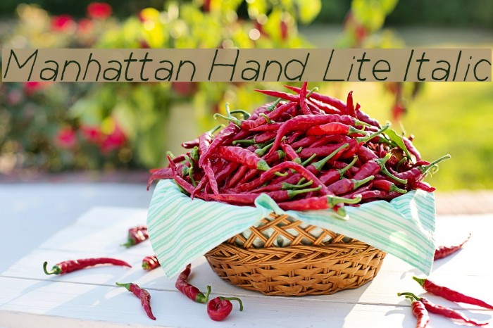 Manhattan Hand Lite Italic Font examples