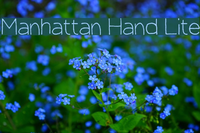 Manhattan Hand Lite Font examples