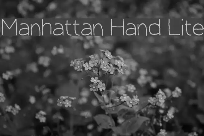 Manhattan Hand Lite Example 1
