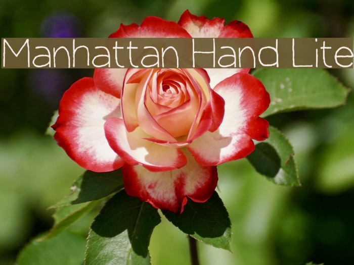 Manhattan Hand Lite Font examples