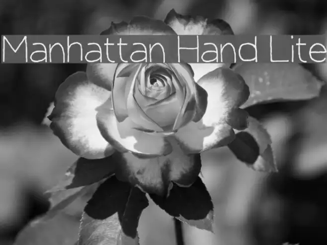Manhattan Hand Lite Example 2