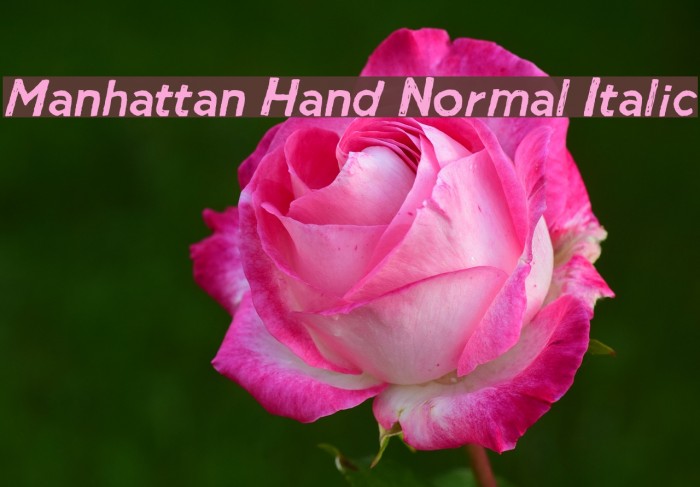 Manhattan Hand Normal Italic Font examples