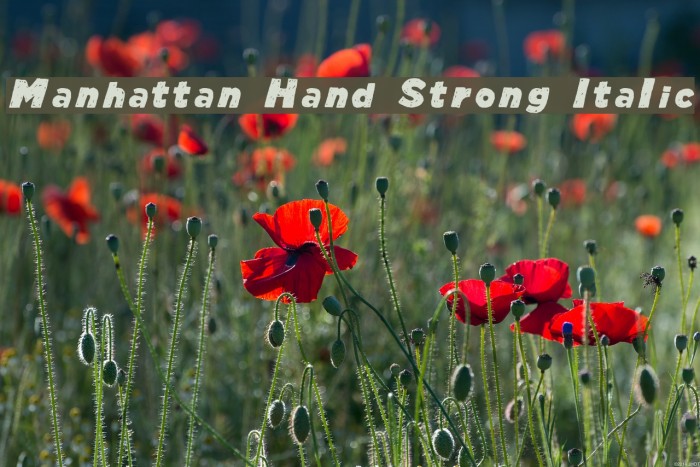 Manhattan Hand Strong Italic Font examples