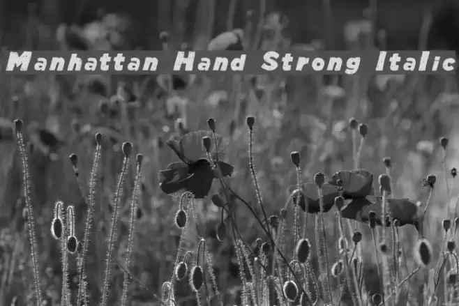 Manhattan Hand Strong Italic Font examples