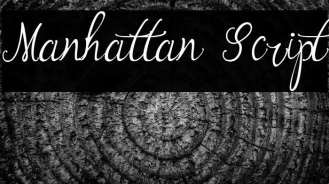 Manhattan Script Font examples