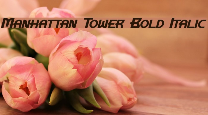 Manhattan Tower Bold Italic Font examples