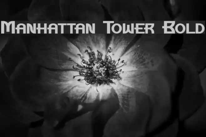 Manhattan Tower Bold Font examples