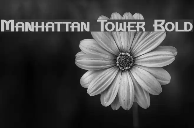 Manhattan Tower Bold Font examples