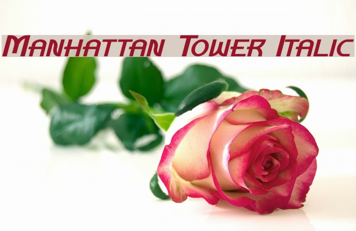 Manhattan Tower Italic Font examples