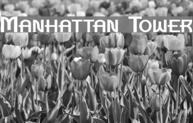 Manhattan Tower Font examples