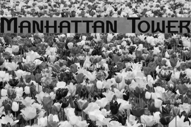 Manhattan Tower Font examples