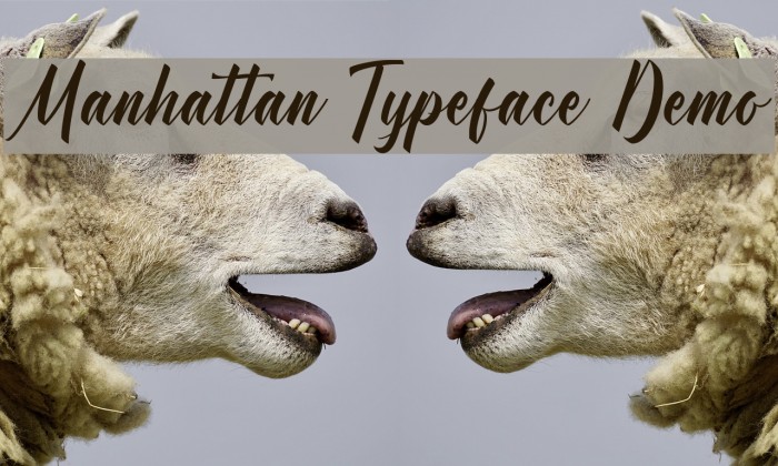 Manhattan Typeface Demo Шрифта examples