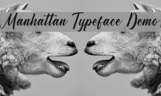 Manhattan Typeface Demo Schriftart examples